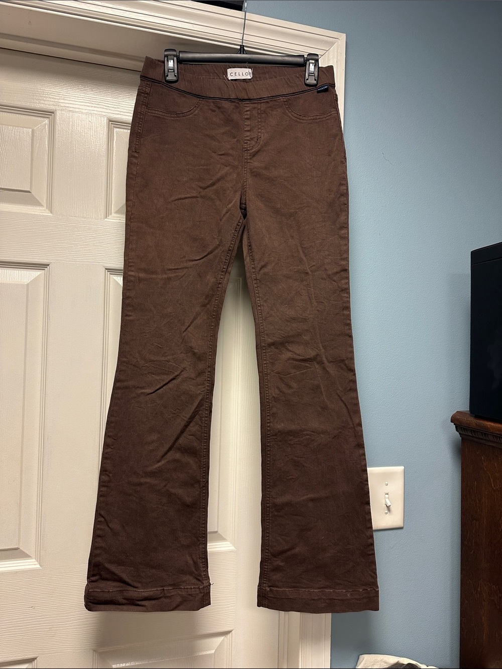 Cello Chocolate Brown Flared Pants